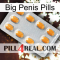 Big Penis Pills cialis3